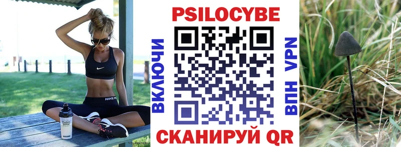 купить наркотики сайты  Белый  Псилоцибиновые грибы GOLDEN TEACHER 